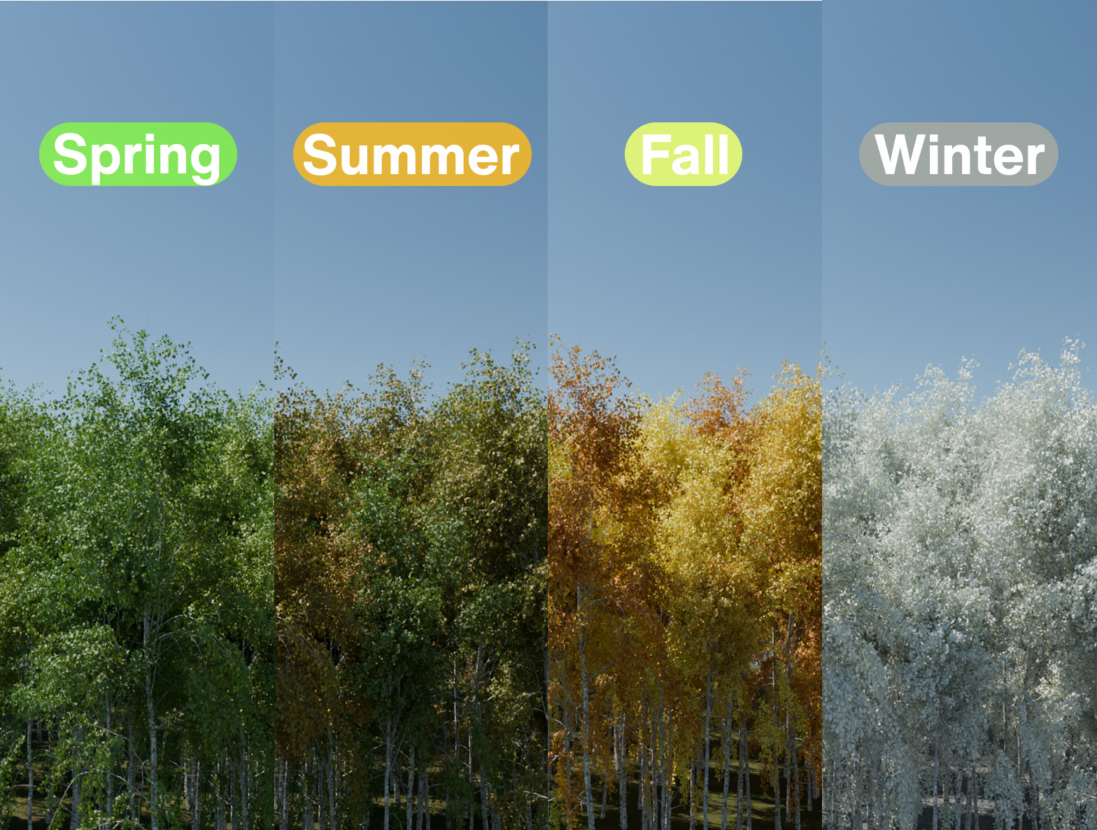 Seasons